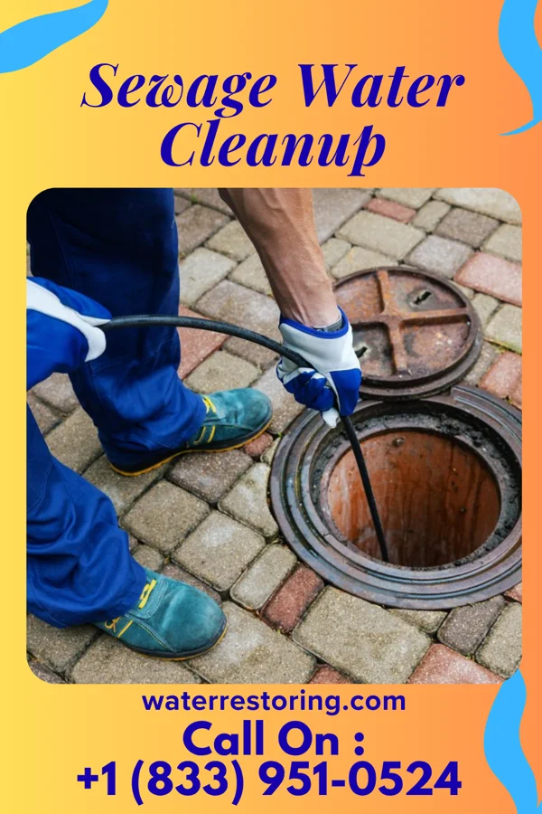 Sewage Water Cleanup in New Pittsburg, OH